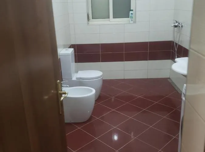 Auberge de jeunesse Oakland Tirana