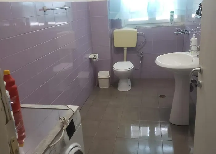 Oakland Τίρανα