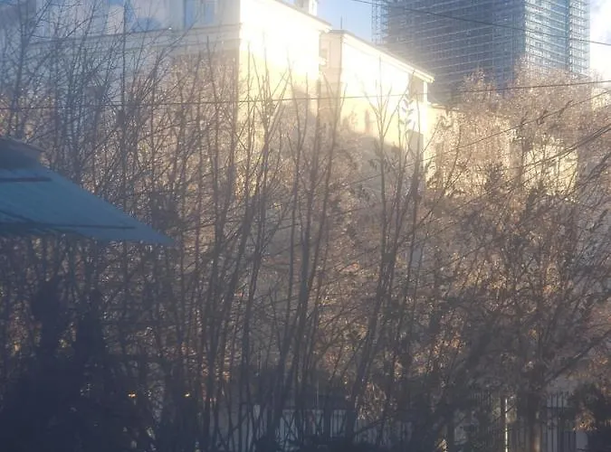 Oakland * טיראנה