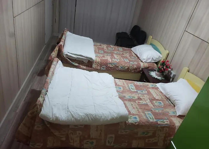 Oakland * טיראנה