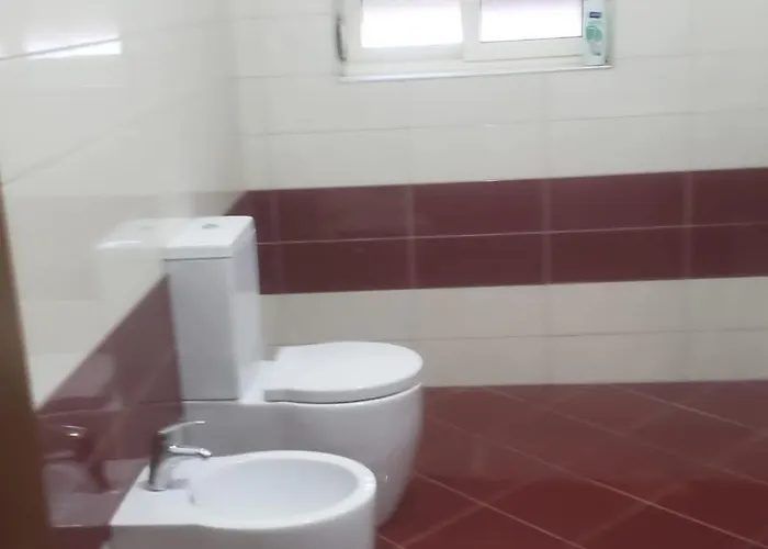 Oakland * טיראנה